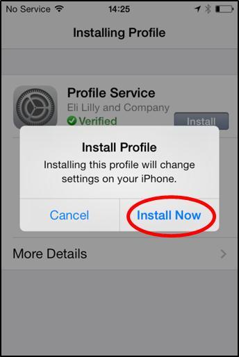 2. Install Profile (Profili Yükle) penceresinde Install Now (Şimdi