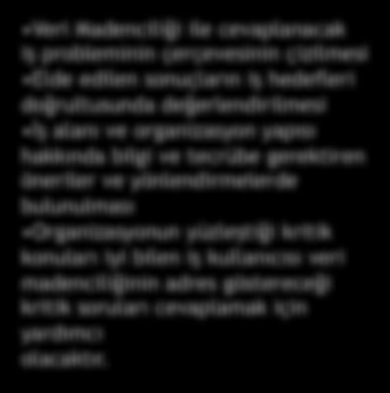 gerektiren öneriler ve yönlendirmelerde bulunulması Organizasyonun yüzleştiği kritik konuları iyi bilen iş kullanıcısı
