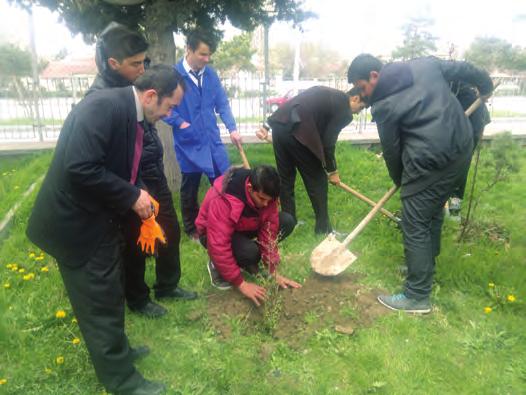 Toplum Hizmeti 11METH Ağaç Dikimi