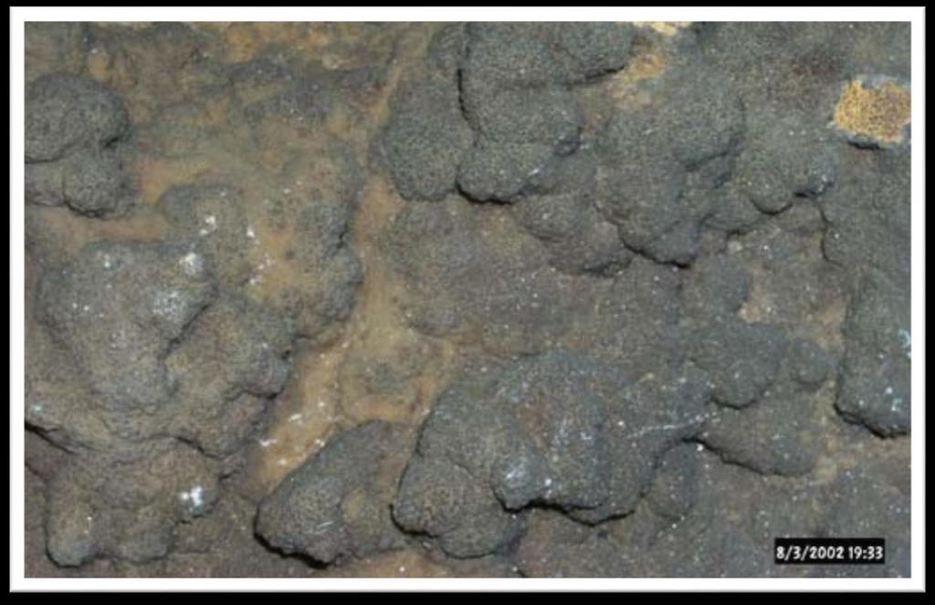 5) Yumrulu yapı Cevher minerallerinin yüzeysel şartlarda oluşmaları sonucu oolitlere benzer bir görünüm kazanmalarıyla oluşan yapıdır.