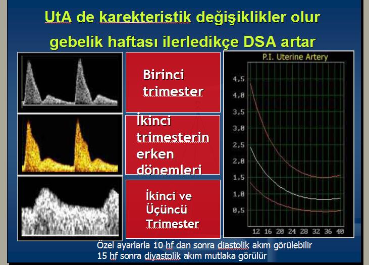 Uterin arter Ut A kan akımı değişimi, maternal spiral arterlerde trofoblastik invaz.