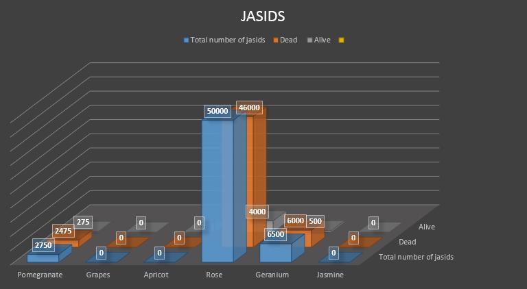 After applying treatment, the control percentage was 80% calculated by the formula Control rate = killed jasids / total jasids * 100 Because after 1 st observation average of jasids count per rose
