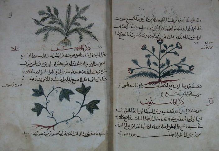 Kitab-al Haşayiş