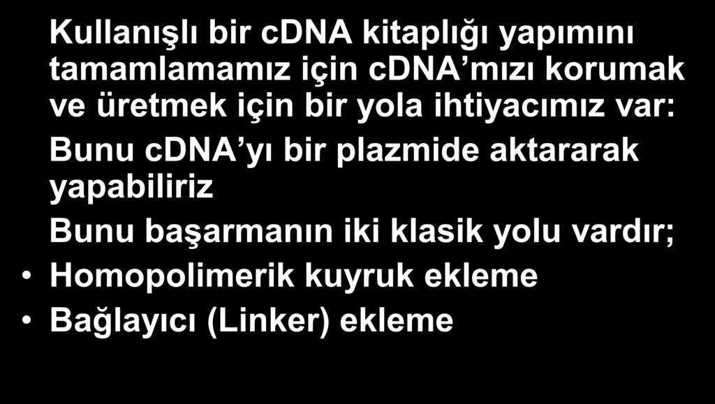 Kullanışlı bir cdna kitaplığı yapımını tamamlamamız için cdna mızı korumak ve üretmek için bir yola ihtiyacımız var: Bunu cdna