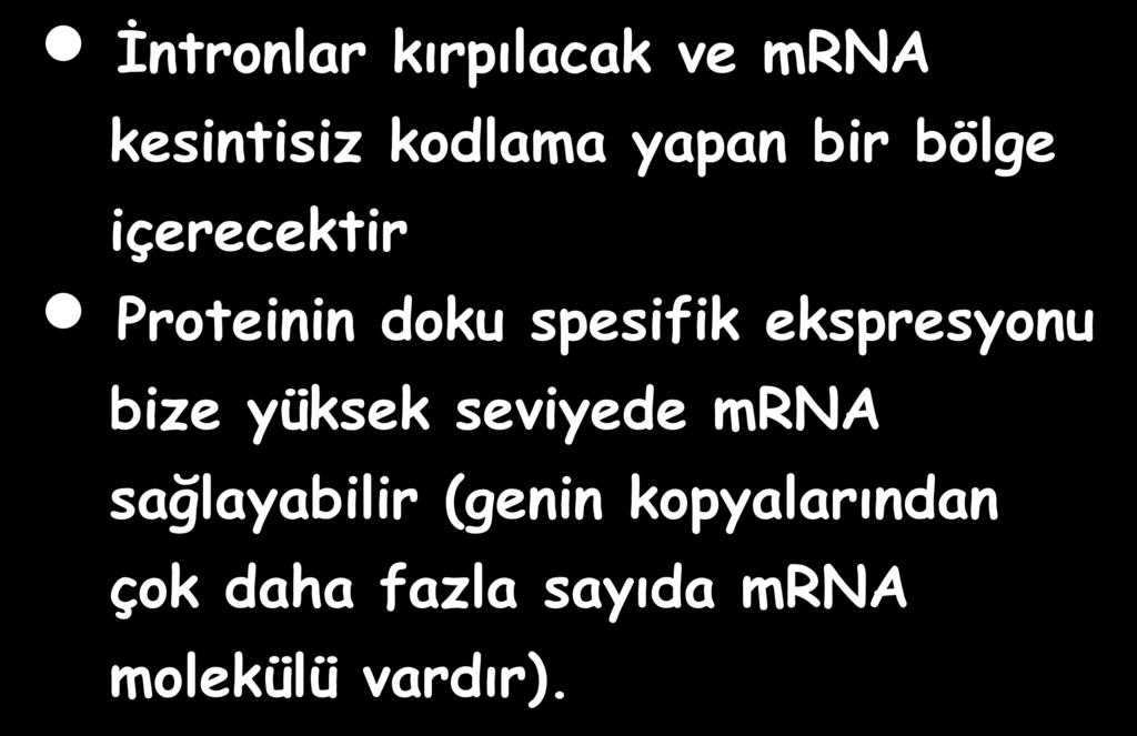 İntronlar kırpılacak ve mrna kesintisiz kodlama yapan bir bölge içerecektir Proteinin doku spesifik