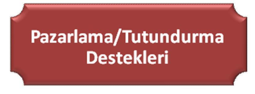 DEVLET YARDIMLARI