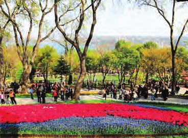 Sarıyer İlçesi Çevre yatırımları ile Sarıyer in çehresini yeniliyoruz. Sarıyer ve köylerine 20 yeni park yaptık.