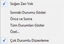 Sonraki Durumu Göster: Seçili durum bir sonraki durumla birlikte tuval üzerinde gösterilir. Önce ve Sonra: Seçili durum önceki ve sonraki durumla birlikte görüntülenir.