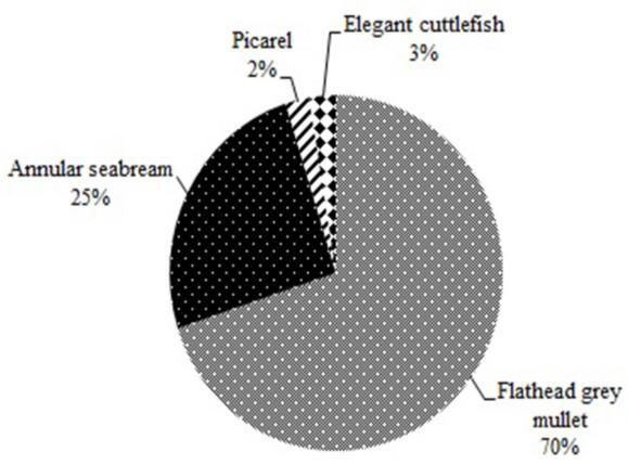 Nevertheless it was found that 57 angles were detached from anywhere on the snood and 96 of the attempts did not catch any fish.