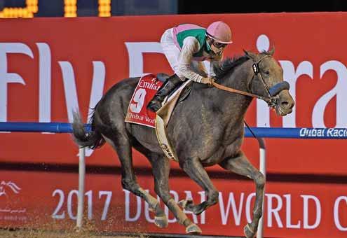 ATÇININ SESİ Mohaç Koşusu nu STORM GIRL kazandı Haberler 4 yaşlı safkan Arap atlarının, İstanbul yarış sezonu içerisindeki en önemli sınavlarından biri olan Mohaç Koşusu (Açık-G2/DHÖ), 14 Nisan Cuma