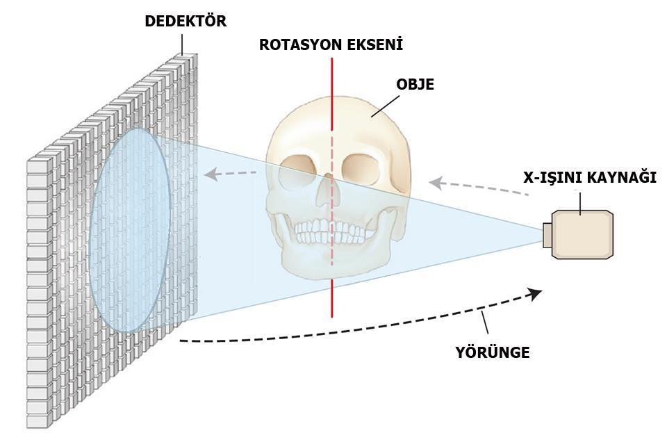 Projeksiyon görüntüleri lateral sefalometrik projeksiyonlara benzer. Her bir ardışık görüntü birbirinin hafif rotasyona uğramış şekli gibidir.