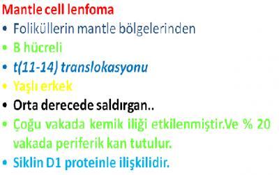 87-Aşağıdaki lenfomalardan hangisi, immünohisto kimyasal olarak siklin D1 pozitifliği gösterir?