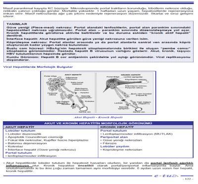 83.Karaciğerde portal alanlarda plazma hücresinden zengin, yangısal hücre