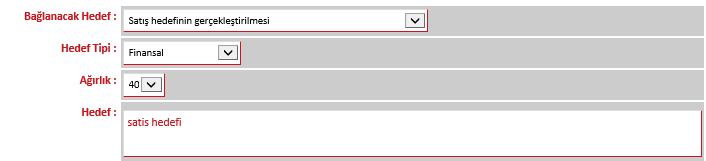 Her bir form için hedeflerin toplam ağırlığı maksimum 100 olmalıdır, aksi takdirde forma onay veremezsiniz. Hedef: Hedef bölümüne hedef tanımı girilmelidir.