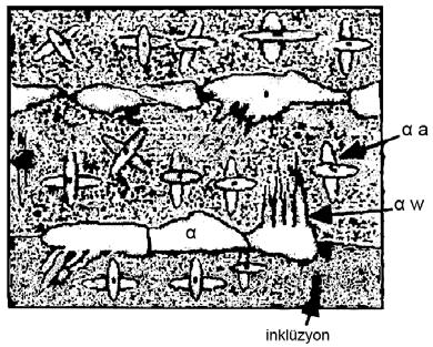 88 Şekil 4.5. Düşük karbonlu çelikte kaynak metalinde oluşabilecek mikroyapılar [66]. Tane sınırı ferrit Ae 3 sıcaklığının altındaki soğumalarda oluşan ilk fazdır.