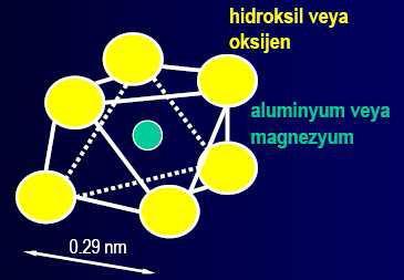 Oktahedral katman, oktahedronların hepsinde veya üçte ikisinde katyon bulunmasına göre trioktahedral ve dioktahedral olmak üzere