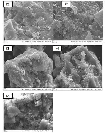 Şekil 4. 2. Asitlerle muameleme edilmiş kilin SEM görüntüsü Şekil 4.3 de NaOH, KOH ve NH 3 ile etkileşime giren kil numunelerine ait SEM görüntüleri verilmektedir.