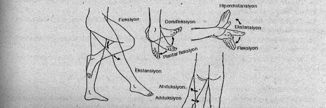 23- RADĐAL DEVĐASYON