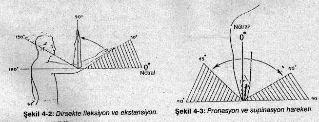 1-FLEKSĐYON