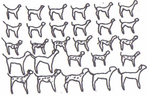 185 SORU 8 : 7 büyük ve 21 küçük köpek şekli aşağıda verilmiştir.bazı köpekler benekli bazıları ise beneksizdir. Büyük köpeklerin benekli olma olasılıkları küçük köpeklerden daha fazla mıdır? a. Evet b.