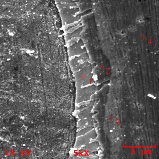 incelenip Enerji Dağılım X-Işını (EDX) analizleri yapılmıştır. Şekil 4 te EDX analizlerinin alındığı bölgeleri gösteren örnek bir SEM görüntüsü verilmiştir.