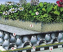 33 2.4.1. Yeşil çatı uygulamasında kullanılan temel katmanlar Yeşil çatılar Şekil 2.6.
