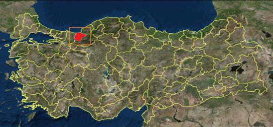 değişik kaynaklarda farklı değerler (241 000-364 000 ha) verilse de Bolu Orman Bölge Müdürlüğü verilerine göre 123 814 ha (%51) ormanlık alan bulunmaktadır.