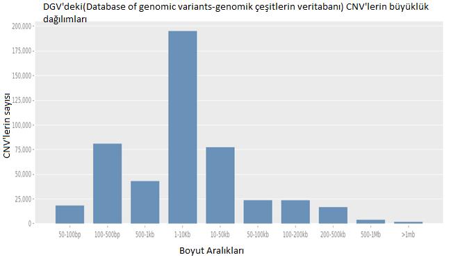 GİRİŞ Kopya Sayısı Farklılıkları (CNV), insan genomunda, tüm genoma dağılmış halde bulunan 1 kilobaz (kb) dan onlarca megabaza kadar uzayabilen DNA bölgeleridir.