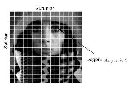 5 Şekil 2.4 Devamlı bir resmin sayılaştırma şekli. [m, n] benzer tek nokta nümerik olarak yer, parlaklık vs. değerlerle gösterilmiştir [16].