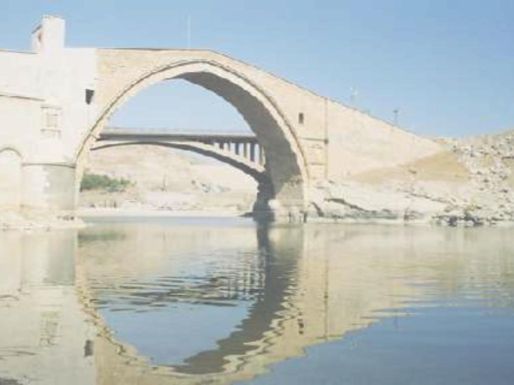 ARTUKLULAR Artuk Bey in oğulları tarafından Diyarbakır,Harput ve Mardin çevresinde kurulmuştur.