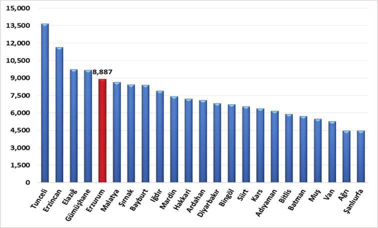 Kişi başına düşen hizmetler sektörü gayrisafi yurtiçi hasıla değeri Cazibe Merkezi olarak belirlenmiş 23 il açısından değerlendirildiğinde, 2014 yılı itibarıyla Erzurum ilinin, 8,887 TL kişi başı