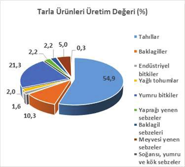 YIL Tablo 30: Erzurum Bitkisel Üretim Değerinin Gelişimi Bitkisel Üretim Değeri (1000 TL) Payı (%) Kişi Başına Bitkisel Üretim Değeri (TL) Erzurum (1) TRA1 (2) Türkiye (3) (1/2) (1/3) Erzurum TRA1