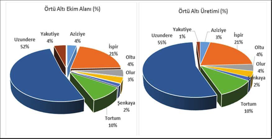 Erzurum ilinde üretimi yapılan örtüaltı sebze ürünlerinin yıllar itibariyle gelişimi Tablo 41 de verilmiştir.