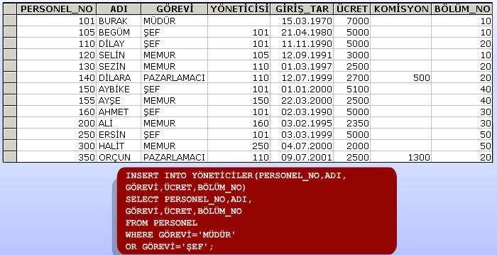 11.3 Tablodaki verileri güncelleme Bir