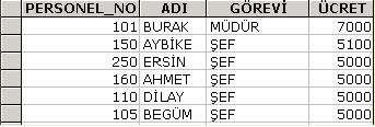 Örnek Personel numarası "300" olan personelin ücretini "2500" olarak değiştirmek istiyoruz.