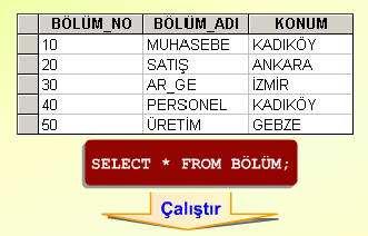 Bölüm_no Bölüm numarasıdır. Bölüm_adı Bölümün adıdır. Konumu Bölümün bulunduğu yerin adıdır.