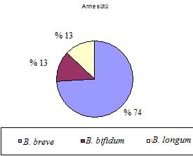 pseudocatenulatum (% 19) türleri izole edilmiştir (Bkz. Şekil 4.1.a). Anne sütünden B. breve (% 74), B. bifidum (% 13) ve B. longum (% 13) türleri izole edilmiştir (Bkz. Şekil 4.1.b).