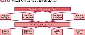 Stratejiler Bu Stratejilerin Alt Stratejileri; İlişkili / İlişkisiz Stratejiler