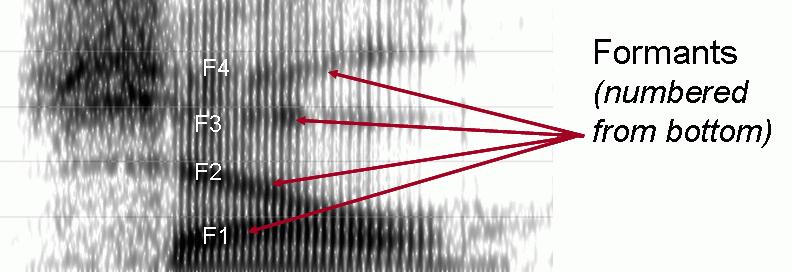 37 enerjinin supralaringeal hava pasajlarından geçebildiği frekanslara da formant frekansları denir. Sesin akustik özellikleri spektral analizlerle belirlenebilir.