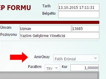 Eğer AmirOnay Listesi nden herhangi bir Direktör seçilmez ise form, formu dolduran kişinin