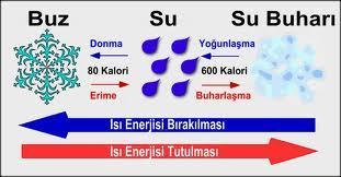 Buharlaşma: Sıvı bir maddenin gaz hale