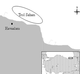 Bulgular ve Tartışma Tür Kompozisyonu Üç farklı derinlikte aylık olarak yapılan çalışmalarda toplam 36 trol sörveyi gerçekleştirilmiştir. Çalışma sahası 25 km 2 dir.