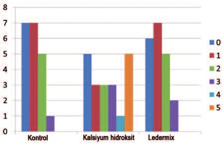 lan değerlendirmede yardımcı olması amacıyla köklerin yanına milimetrik cetvel yerleştirildi.