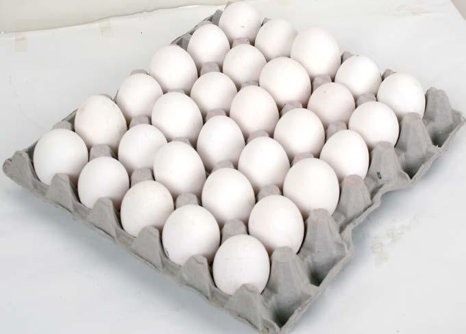 Yumurta 30 lu