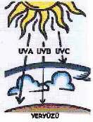 30 UV ışınları UV- A, UV- B ve UV- C olmak üzere üç tiptir (Şekil 3.3). Şekil 3.3. Yeryüzüne ulaşan UV- A, UV- B ve UV- C ışınları [www.meteor.gov.