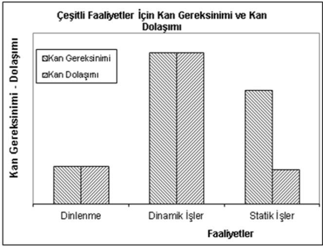 S.4. C.4. Statik ve dinamik işleri kan dolaşımı ve oksijen tüketimi yönünden iş örneklemeleri ile değerlendiriniz.