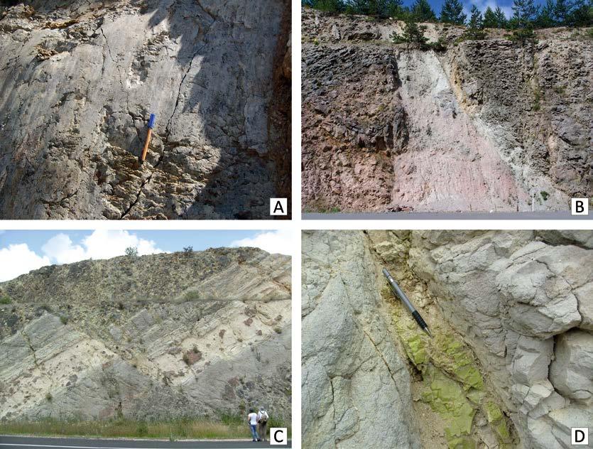 Bu kriterleri şöylesi gruplar altında vermek mümkündür: (a) Jeolojik belirteçler (fay düzlemleri ve kayma yüzeyi yapıları, faylanma ile ilişkili kayalar, yan yana gelmiş/yer değiştirmiş litolojiler,