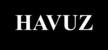 -L ve R olgun yapraklar, KAYNAK - l ve r genç yapraklar, HAVUZ - L l - R r - L