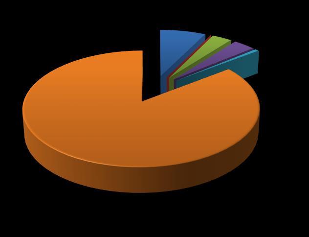 85% 7% 0%3% 4% 1% Genel Kamu Savunma Kamu