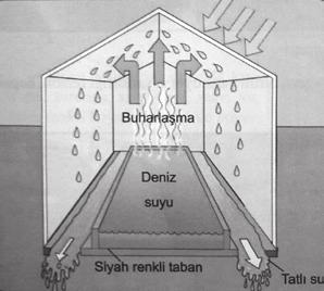 Buna göre sadece yukarıda verilen bilgiyi doğrulamak için şekillerdeki numaralandırılmış kaplardan hangileri kullanılmalıdır?